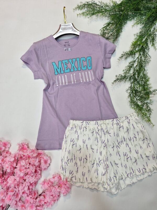 la vie en rose-splash